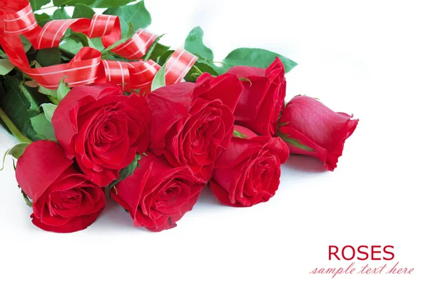 Rose Rosse Isolate Sfondo Bianco Immagini Stock Royalty Free