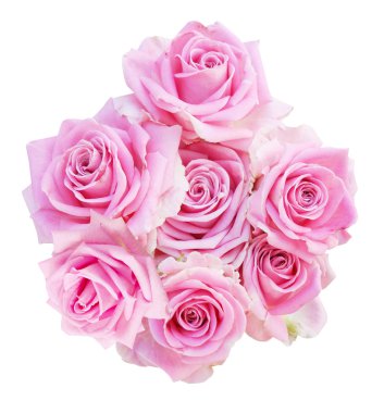 Beyaz arkaplanda izole edilmiş pembe güller