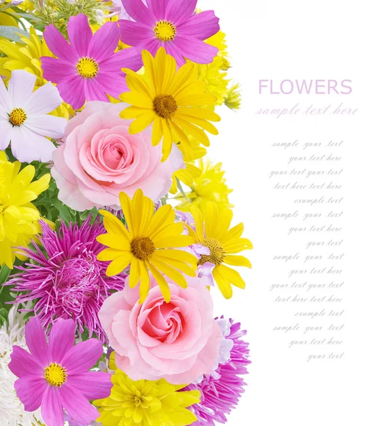 Hermosas Flores Sobre Fondo Blanco Con Texto Sencillo — Foto de Stock