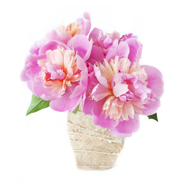 漂亮的粉色牡丹花在一个花瓶中 与白色背景隔离 — 图库照片