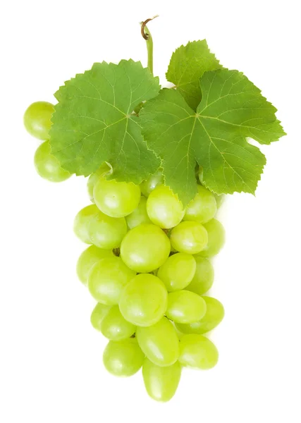 Uvas verdes frescas com folhas. Isolado em branco — Fotografia de Stock