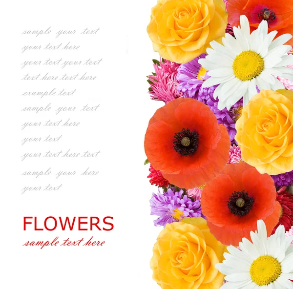 Beautiful Flowers White Background Space Your Text — Stock Photo, Image