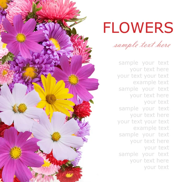 Beautiful Flowers White Background Space Your Text — Stock Photo, Image