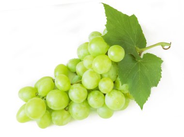 taze yeşil üzüm yaprakları ile. beyaz izole