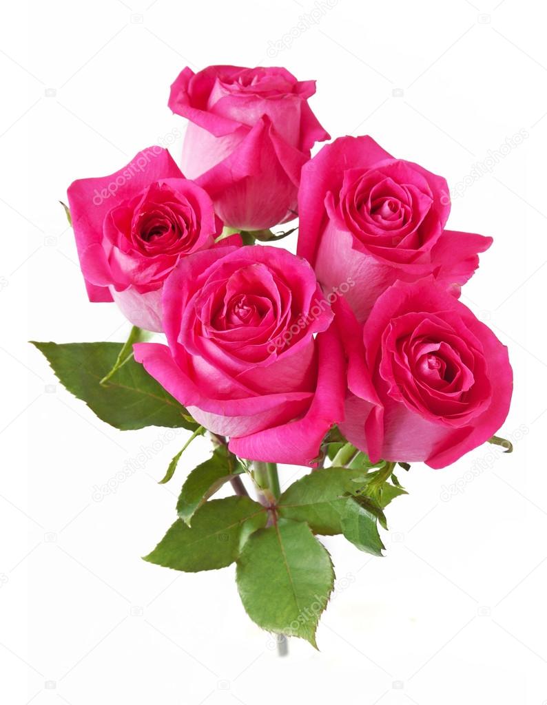 Rose Flowers Bunch Isolated On White Background Stock Photo C Lesslemon
