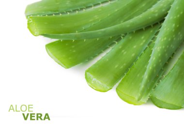 aloe vera bitkisi beyaz arkaplanda izole