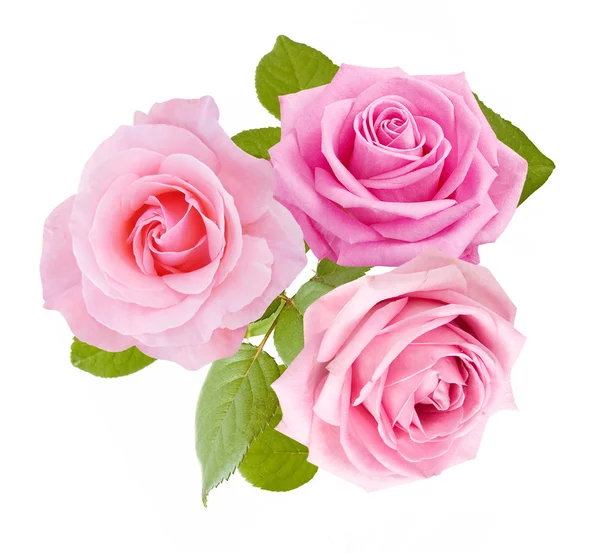 Bouquet de fleurs roses isolé sur fond blanc — Photo