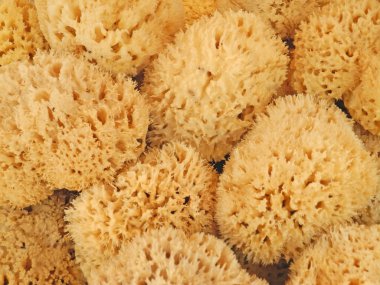 Yumuşak bir sünger yığınını kapat