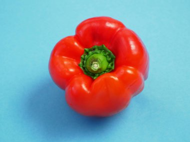 Mavi arka planda kırmızı biber, çan biberi, kırmızı biber.