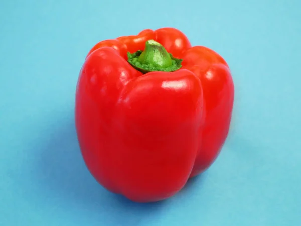 Röd Paprika Blå Bakgrund Paprika Paprika — Stockfoto