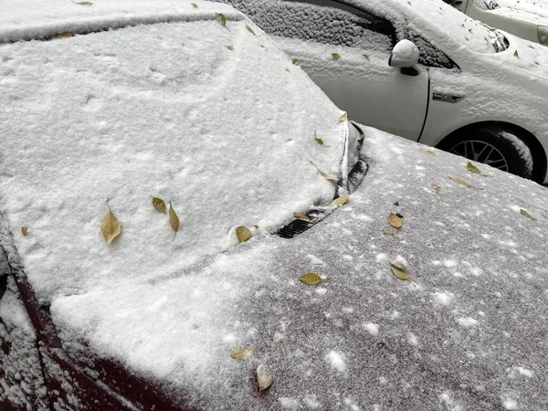 Автомобили Снегом Парковке Снегопад Метель Первый Снег Крупный План — стоковое фото