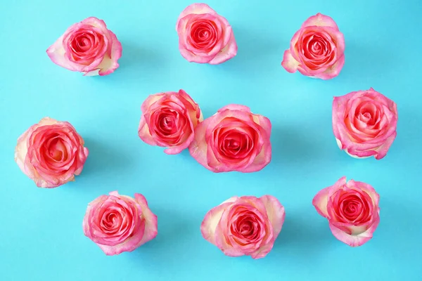 Fundo Abstrato Com Rosas Rosa Azul Close — Fotografia de Stock