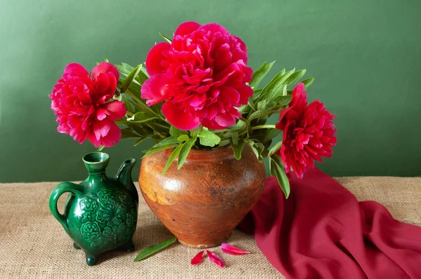 Still Life Peony Flowers Bunch Closeup — Stock Photo, Image