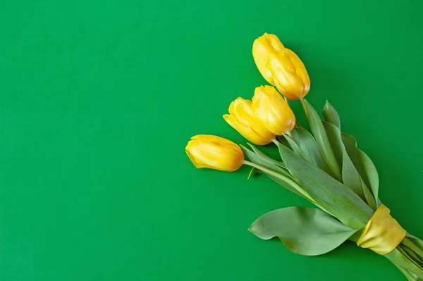Schöne Tulpen Blumenstrauß Auf Grünem Hintergrund — Stockfoto