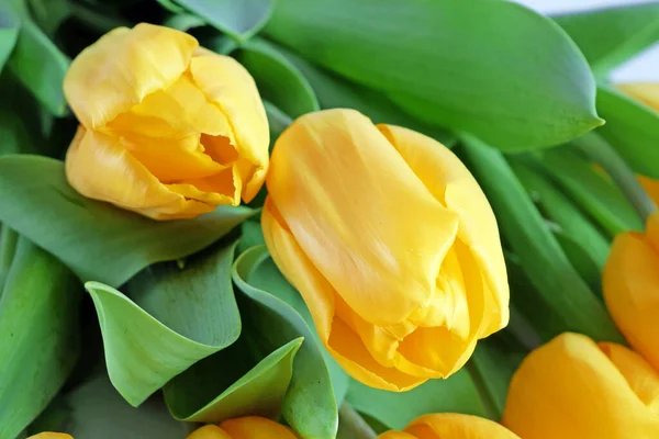 Bonito Amarelo Tulipas Flores Buquê — Fotografia de Stock