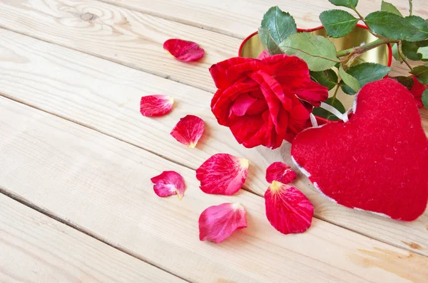 Rosa Roja Fresca Con Pétalos Corazón Forma Caja Sobre Fondo — Foto de Stock