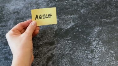 yazılım karmaşası çevik ve kaya