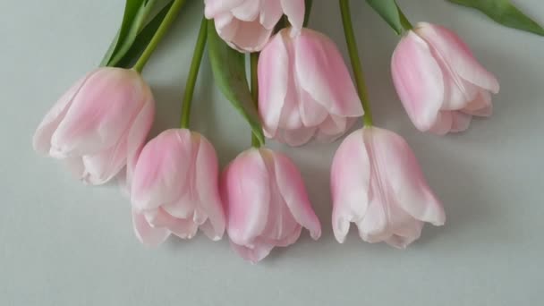 Schöne Rosa Tulpen Blumenstrauß Auf Grauem Hintergrund Nahaufnahme — Stockvideo
