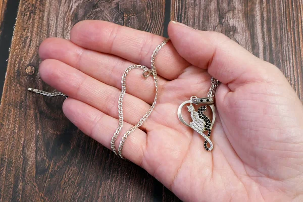 Pingente Jóias Forma Coração Dois Amantes Gatos Prata Metal Mão — Fotografia de Stock
