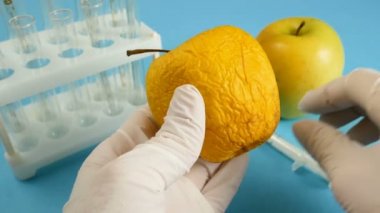 Elma, genetik mühendisliği laboratuvarında mavi arka planda şırınga ve test tüpleriyle, GMO gıda kavramı