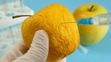 Elma, genetik mühendisliği laboratuvarında mavi arka planda şırınga ve test tüpleriyle, GMO gıda kavramı