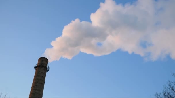 Tubi Impianto Con Fumo Grigio Sul Cielo Blu Torri Impianto — Video Stock