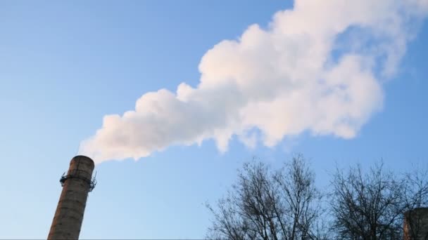 Plantorör Med Grå Rök Blå Himmel Kemiska Fabrikstorn Kärnkraftverk Mot — Stockvideo