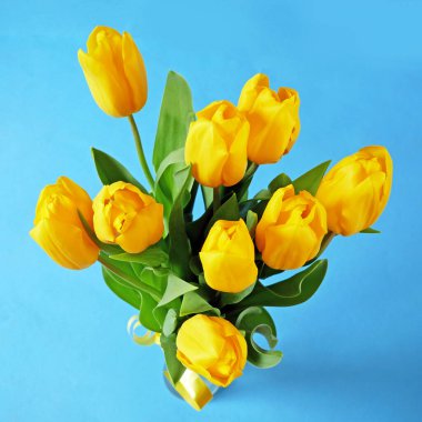 Mavi arka planda bir sürü sarı lale var. Yakın plan.