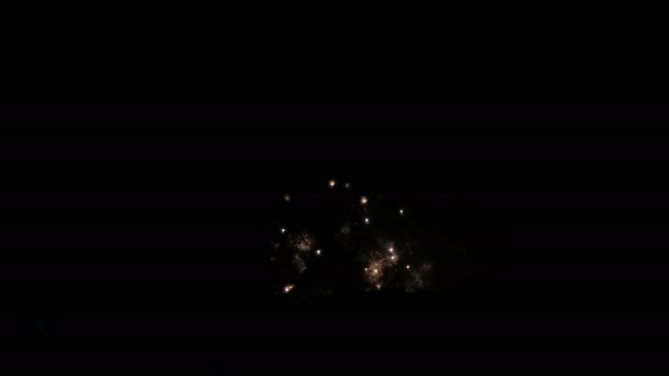 Many Fireworks Night Sky Beautiful Fireworks Background — Stock Video