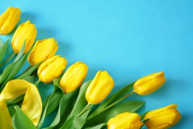 Beyaz arka planda laleler.