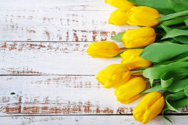 Arka planda birçok sarı lale buketi var, yakın plan.