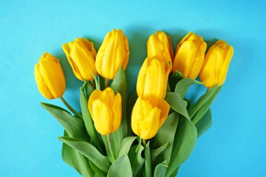 Arka planda birçok sarı lale buketi var, yakın plan.