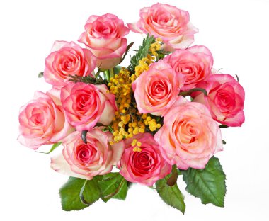 Beyaz arka planda güzel pembe güller ve mimozalar, yakın plan.