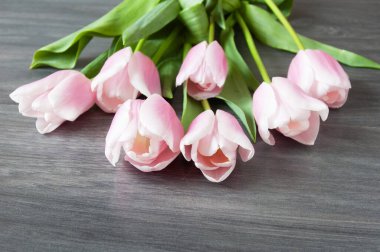 Ahşap arka planda güzel laleler, yakın plan.