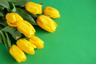 Yeşil arka planda güzel sarı laleler, yakın plan.