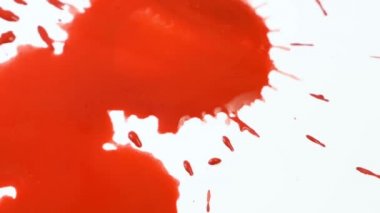 Kırmızı kan damlaları beyaz arka planda izole edilmiş. Kan damlaları ve sıçramalar. Cadılar Bayramı tasarımı, tıbbi ve sağlık hizmetlerinde kullanılabilir.