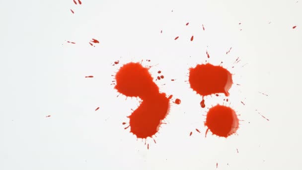 Červené Kapky Krve Izolované Bílém Pozadí Kapky Krve Šplouchání Lze — Stock video