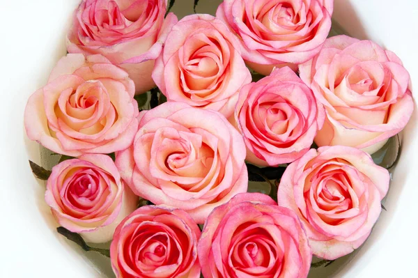 Beautiful Pink Roses Bunch Isolated White Background Closeup — Stock Photo, Image