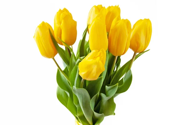 Schöne Gelbe Tulpen Strauß Isoliert Auf Weißem Hintergrund Nahaufnahme — Stockfoto