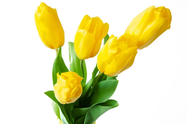 Schöne Gelbe Tulpen Strauß Isoliert Auf Weißem Hintergrund Nahaufnahme — Stockfoto