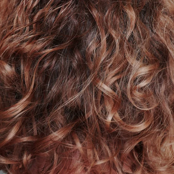 Brun Cheveux Bouclés Fond Gros Plan Texture Des Cheveux Femme — Photo