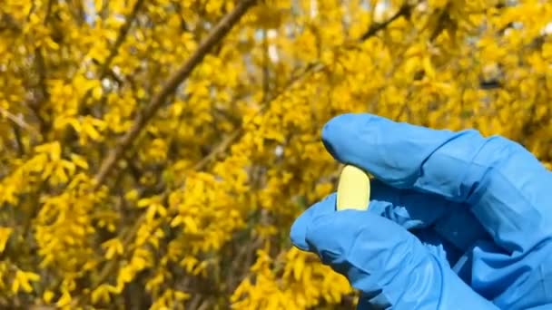 Ręczne Gospodarstwa Pigułki Walki Alergie Wiosna Tle Drzewa Kwiat Leczenie — Wideo stockowe
