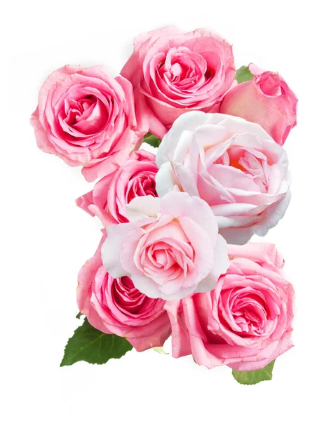 Όμορφη Ροζ Και Λευκά Τριαντάφυλλα Δέσμη Απομονώνονται Λευκό Φόντο Closeup — Φωτογραφία Αρχείου