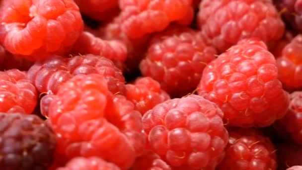 Haufen Frischer Schmackhafter Himbeeren Als Strukturierter Hintergrund Draufsicht — Stockvideo