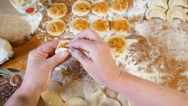 Processo Fazer Bolinhos Caseiros Ravioli Pelmeni Com Recheio Legumes Pronto — Vídeo de Stock