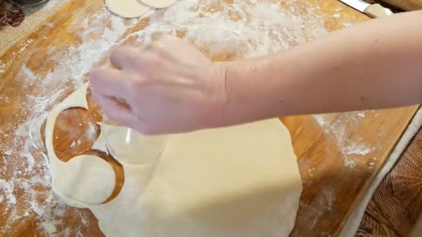 用蔬菜填充自制饺子 小牛肉或盆栽的工艺 准备在木板上煮紫罗兰时 女人的手拿着一个 — 图库视频影像