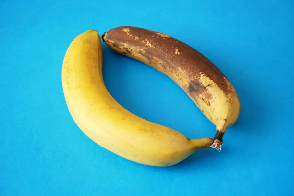 Bananas Orgânicas Frescas Não Frescas Sobre Fundo Azul Close Conceito — Fotografia de Stock