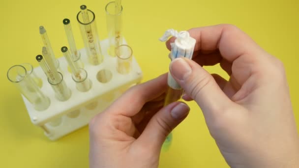 Imágenes Las Manos Sosteniendo Hisopo Tampón Menstrual Comprobando Eficiencia Laboratorio — Vídeo de stock