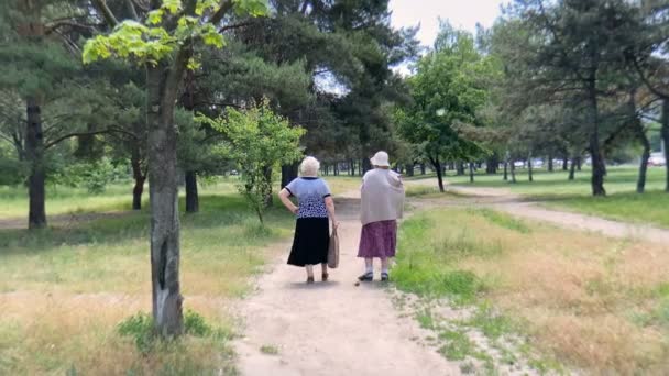 Dnipro Ukrayna 2021 Yaşlı Kadınların Yazın Parkta Yürüyüş Görüntüleri — Stok video