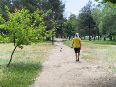 Beyaz rastalı sahibi köpekle birlikte parkta, açık havada yürüyor.